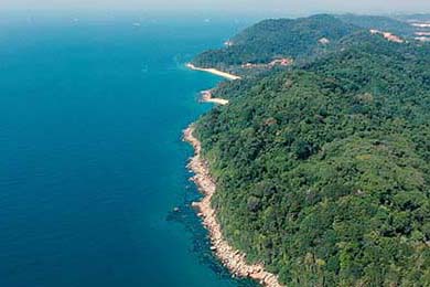 D组北美飙车流速度对撞：美国vs巴拉圭、澳大利亚vs土耳其单场攻防转换耗时